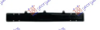 SINA ZADNJEG BRANIKA
